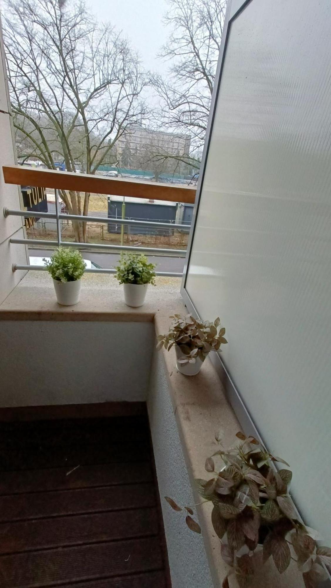 120 W 5 Gwiazdowym Royal Tulip Sand 200 M Od Plazy Dobruk Apartamenty Колобжег Экстерьер фото